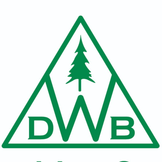 DWB Consulting Services Ltd.